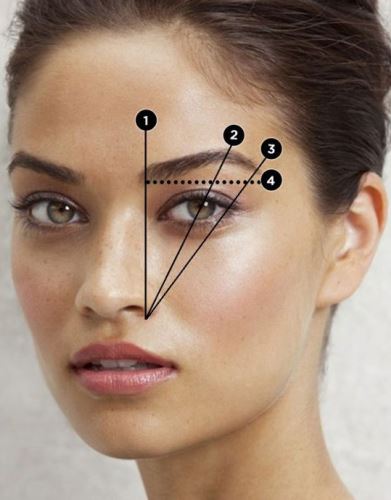 Статья от Даши Мезениной: Идеальные Брови! - Новости Fashion Box – фото № 1