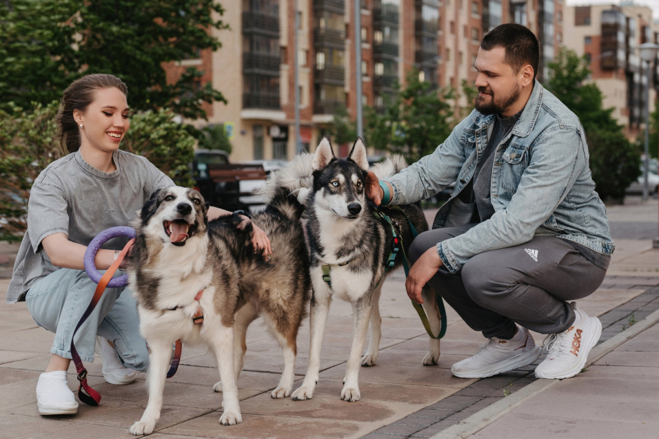 Фотосессия с питомцем — трогательные кадры с вашим любимцем – фото № 12
